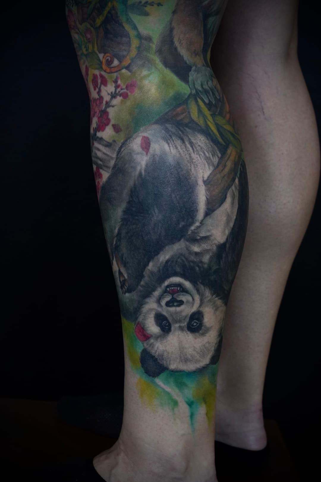 panda - Jin's tattoo